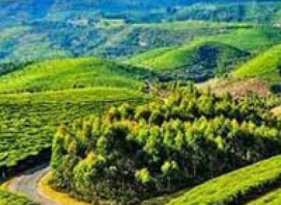 Coonoor with Ooty Tour