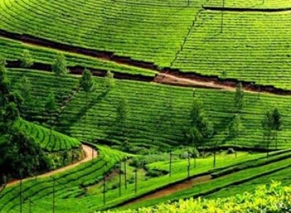 Short Escape to Kodaikanal Tour