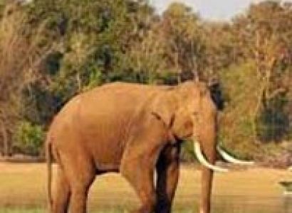 Short Escape to Kabini Tour