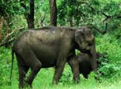 South india Tour Package 6D