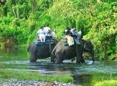 Jaldapara-lataguri Tour
