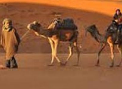 Desert Safari Of Rajasthan