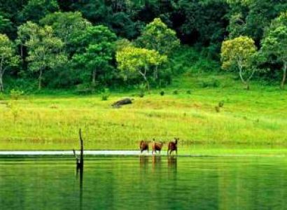 Essence of Kerala Tour