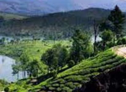 Southern Tour with Hills