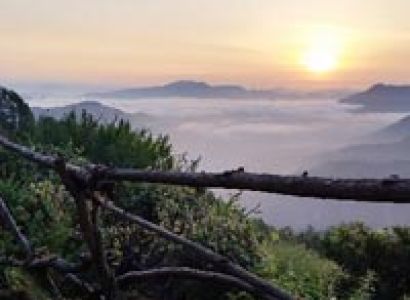 New year Celebrations at Binsar wildlife sanctuary