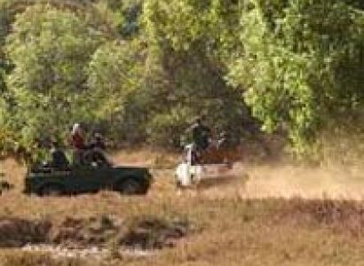 Nagzira Tour From Nagpur