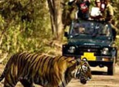 Corbett Nainital Tour