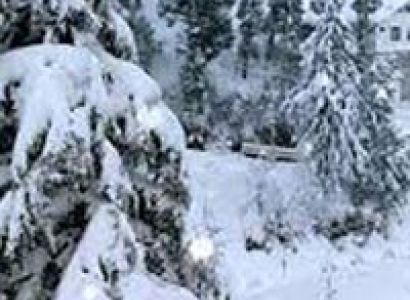 Surat Tour With Kullu Manali