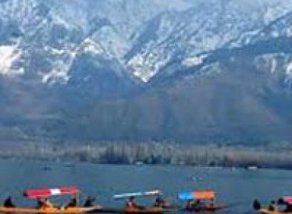 Discover Srinagar Tour
