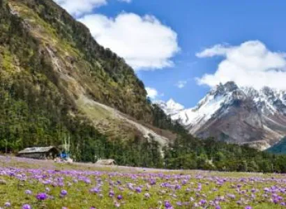 Gangtok-lachung-yumthang-darjeeling Tour