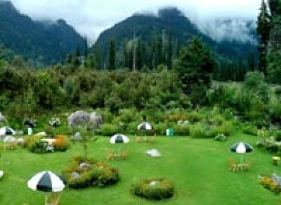 Himachal Delight Chandigarh - Manali Tour
