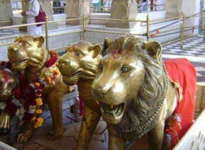 Nau 9 Devi Darshan Package