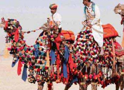 Kolayat Festival Tour Package