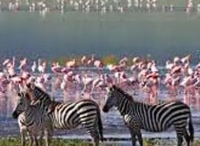 Wildlife Adventure Tour