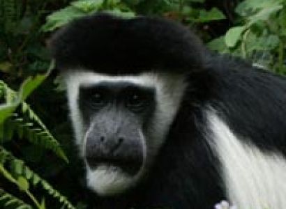 Study Adventures And Culture Tour