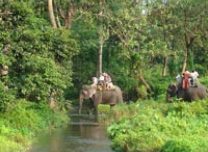 North Bengal Dooars + Kalimpong Tour
