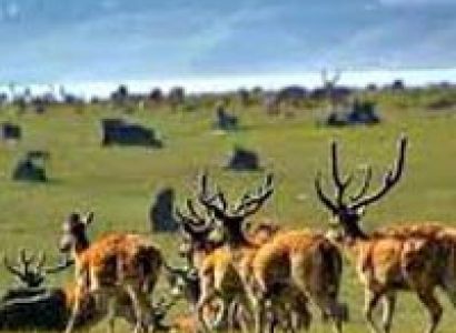 Uttarakhand Package 06 Nights / 07 Days