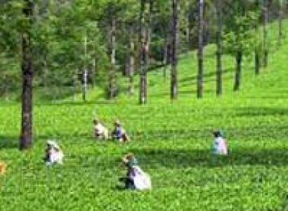 Kerala package 07 Nights / 08 Days Tour