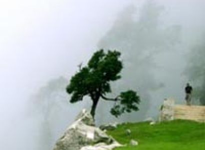 Delhi-shimla-manali-delhi Package