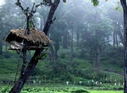 Wayanad Tour