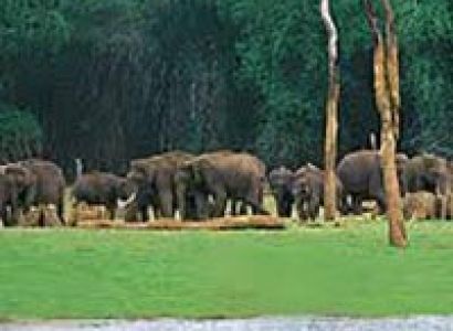 Short Escape to Periyar Tour