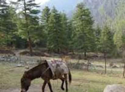 Jomolhari Loop Trek Tour