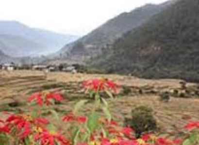 Samtengang Winter Trek Tour