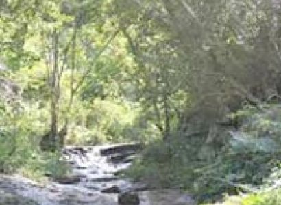 Andhra Pradesh Tour Packages 2 Nights/3 Days,