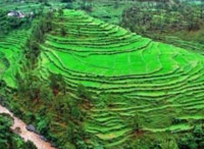 North East India Tour Packages