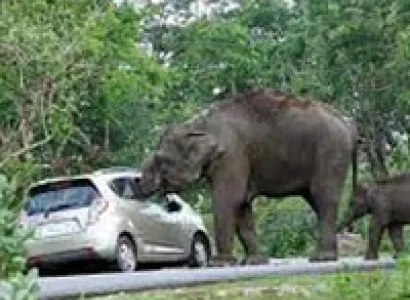 Karnataka tour Packages 8 Nights/9 Days