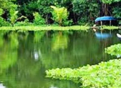 Coorg 3 Nights/4 Days Tour