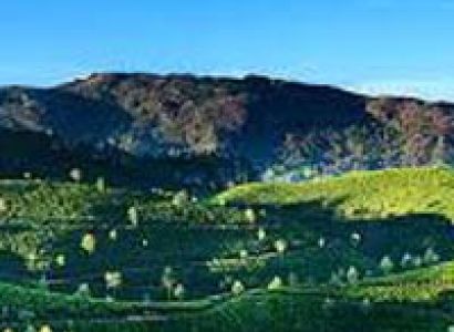 Darjeeling 5Days – 4 Nights Tour