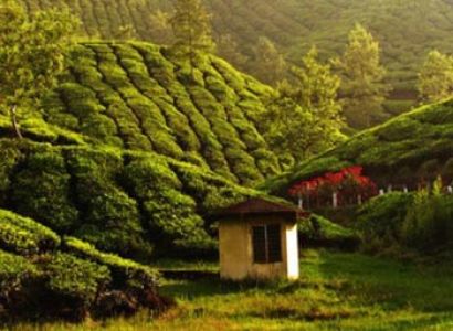 Kerala Prime Attractions in 5 Days Tour