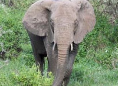 Beauty Of Northern Safari 6Days Tour