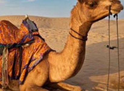 Golden Triangle Tour With Bharatpur & Ranthambore