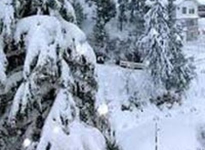 Shimla Short Escape Tour