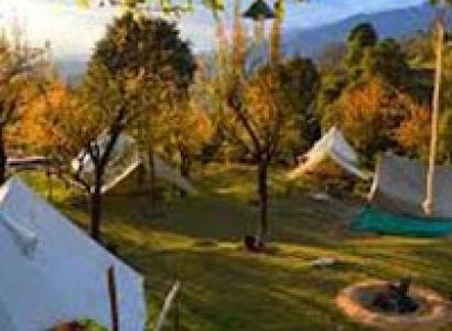 Bir Billing Paragliding Tour