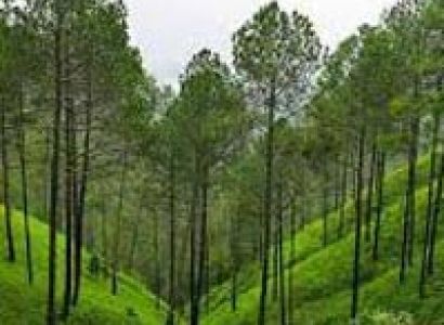 Uttarakhand Honeymoon Tour