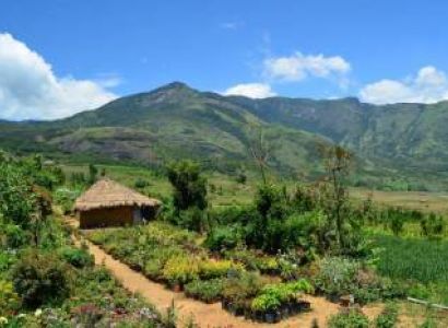 Kerala Winter Packages