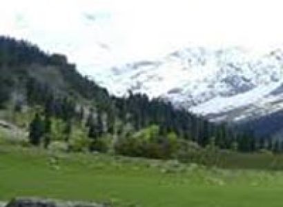 Delhi Manali Tour by Volvo