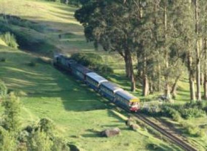Southern Triangle Ooty Tour Packages