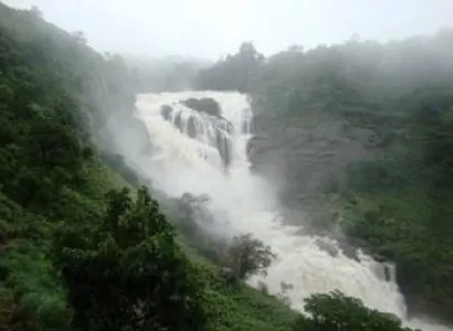 Coffee Experience Coorg Tour Package