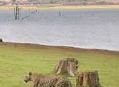 Kerala Extensive Coverage Tour