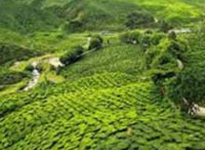 The Queen of Hills Tour