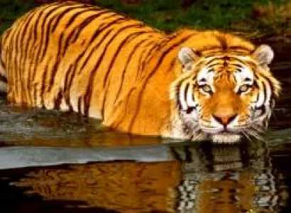 Sunderban Tour -- 2N 3D Trip