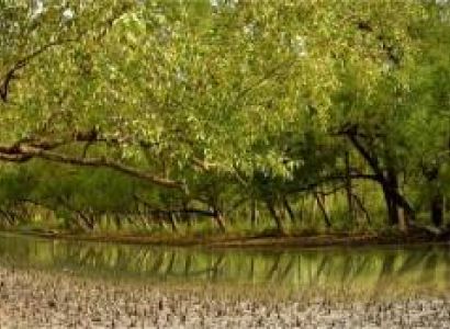Jharkhali(sundarban) Tour 2 Night/ 3 Days