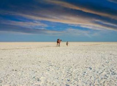 Witness of White Rann Tour