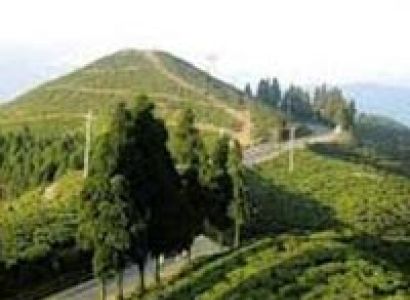 Darjeeling Tour