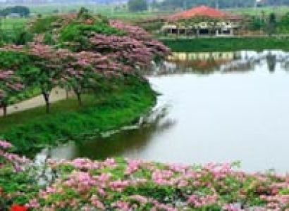 Guwahati - Shillong - Cherrapunjee Tour