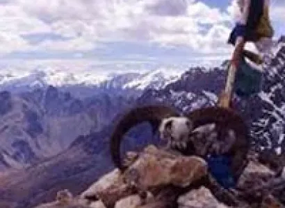 Rupshu Trek - Four Passes of Rupshu (Ladakh - Tough Trek) Tour